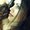 Photo of Iuliana M.