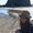 Photo of Kait R.