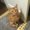 Photo of Cassy N.