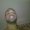 Photo of Rishaun D.