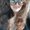 Photo of Debbie S.