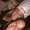 Photo of Sharon V.
