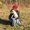 Photo of Karen H.