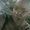 Photo of Cherrie R.