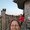 Photo of Cathy T.