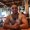 Photo of Josh C.