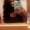 Photo of Tiana S.