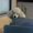Photo of Minni W.