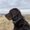 Photo of Misty A.