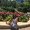 Photo of Rochell M.