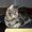 Photo of Selene G.