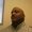 Photo of Marvin F.