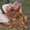 Photo of Melissa Z.