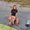 Photo of Danielle B.