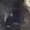 Photo of Rinad Q.