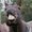 Photo of Kat H.