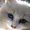 Photo of Skeeter C.
