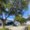 Photo of Rosario D.