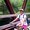 Photo of Megha D.
