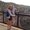 Photo of Sheree G.