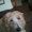 Photo of Lyla K.