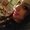 Photo of Liz T.