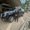 Photo of Alliance Limo Transportation H.