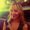 Photo of Allison T.