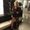 Photo of Baylie D.