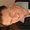 Photo of Richard M.
