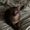 Photo of Patrycja B.