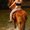 Photo of Debbie T.