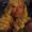Photo of Jaila H.