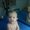 Photo of Jedidiah W.