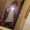 Photo of Mahalia R.