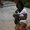 Photo of Alanna R.