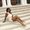 Photo of Maressa M.