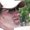 Photo of Trevor S.