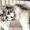 Photo of Gwen H.