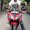 Photo of Ronak P.