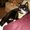 Photo of Rayanne E.