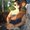 Photo of Qype User (laurar…)