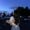 Photo of Phuong N.