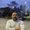 Photo of Juan Carlos L.