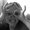 Photo of Sarah O.