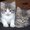 Photo of Qype User (markro…)