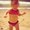 Photo of Staci A.