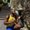 Photo of Achike B.