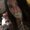 Photo of Roula G.