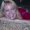 Photo of Robin P.